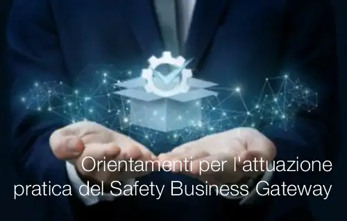 Orientamenti per l'attuazione pratica del Safety Business Gateway Orientamenti per l'attuazione pratica del Safety Business Gateway
